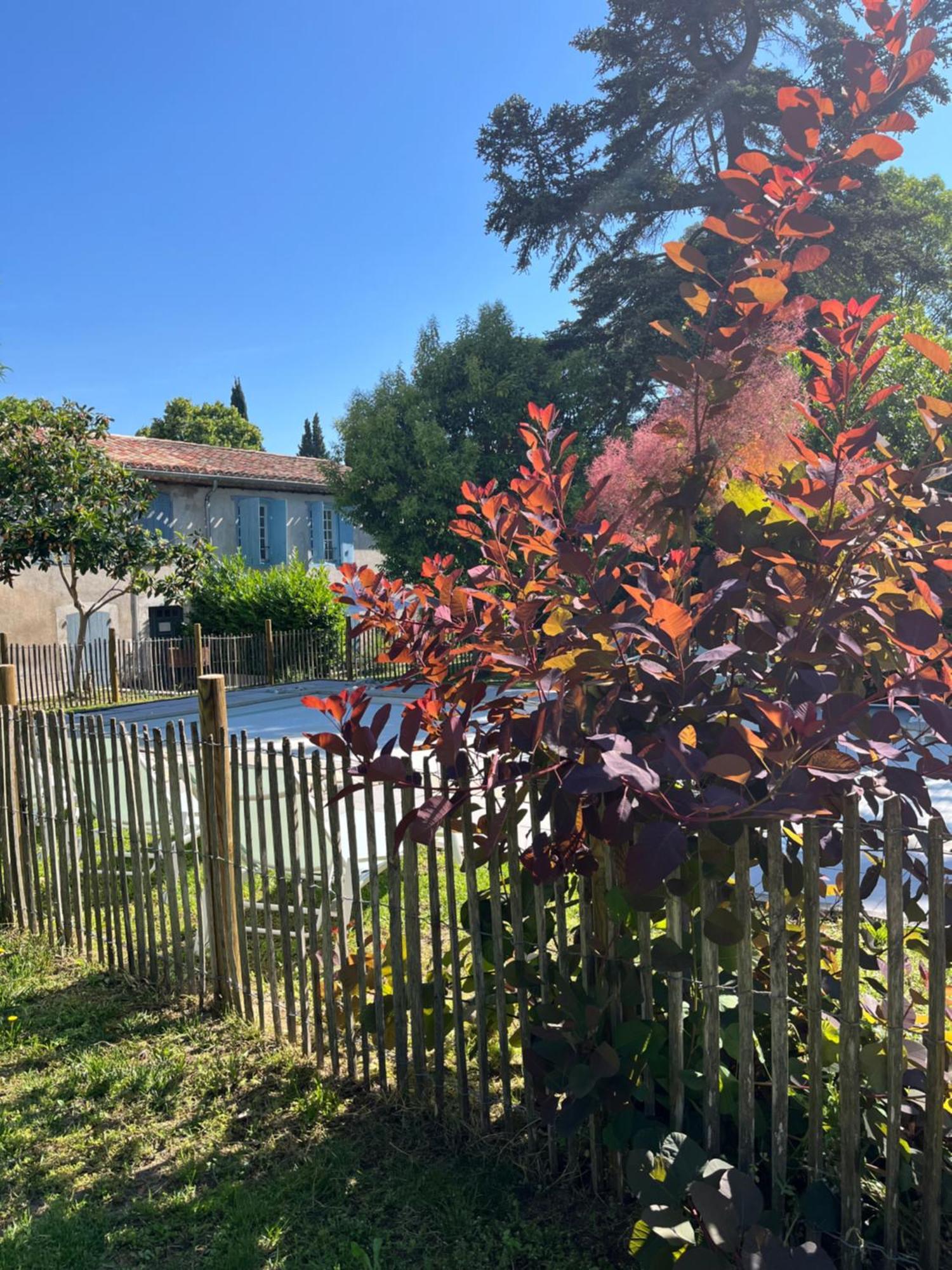 L'Oree De La Cite Carcassone Kültér fotó